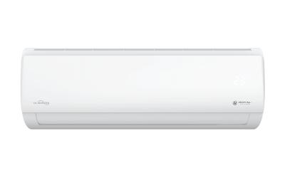 TRIUMPH Inverter 2023