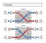 CrioVent 10000 SW - фото 2